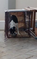 05b_WhatsApp Image 2024-09-09 at 18.04.12_28808730